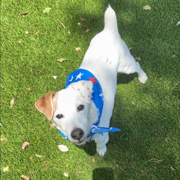 PICK ANY $4 OR $5 ITEM FOR FREE WITH ANY  PURCHASE - Picture 1 of 2